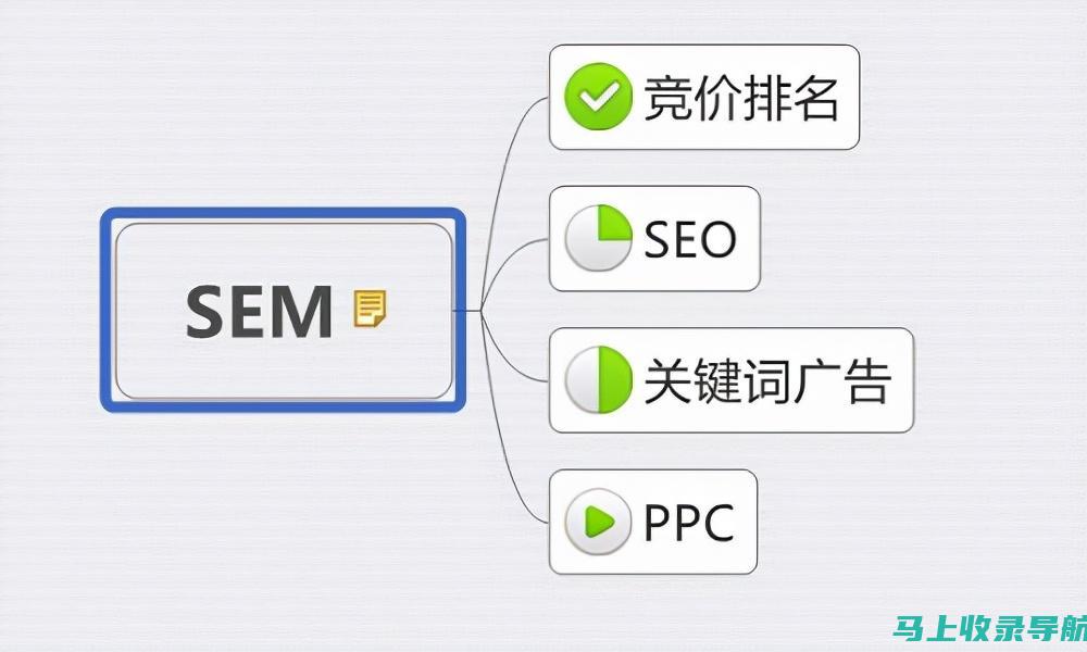 SEO优化如何助力站长赚钱？实操技巧大揭秘！